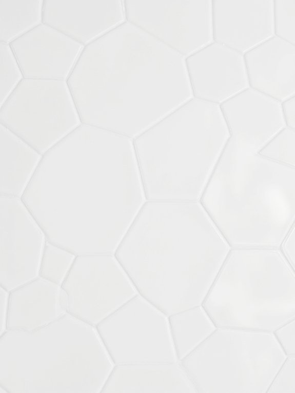 white hexagon tile appeal